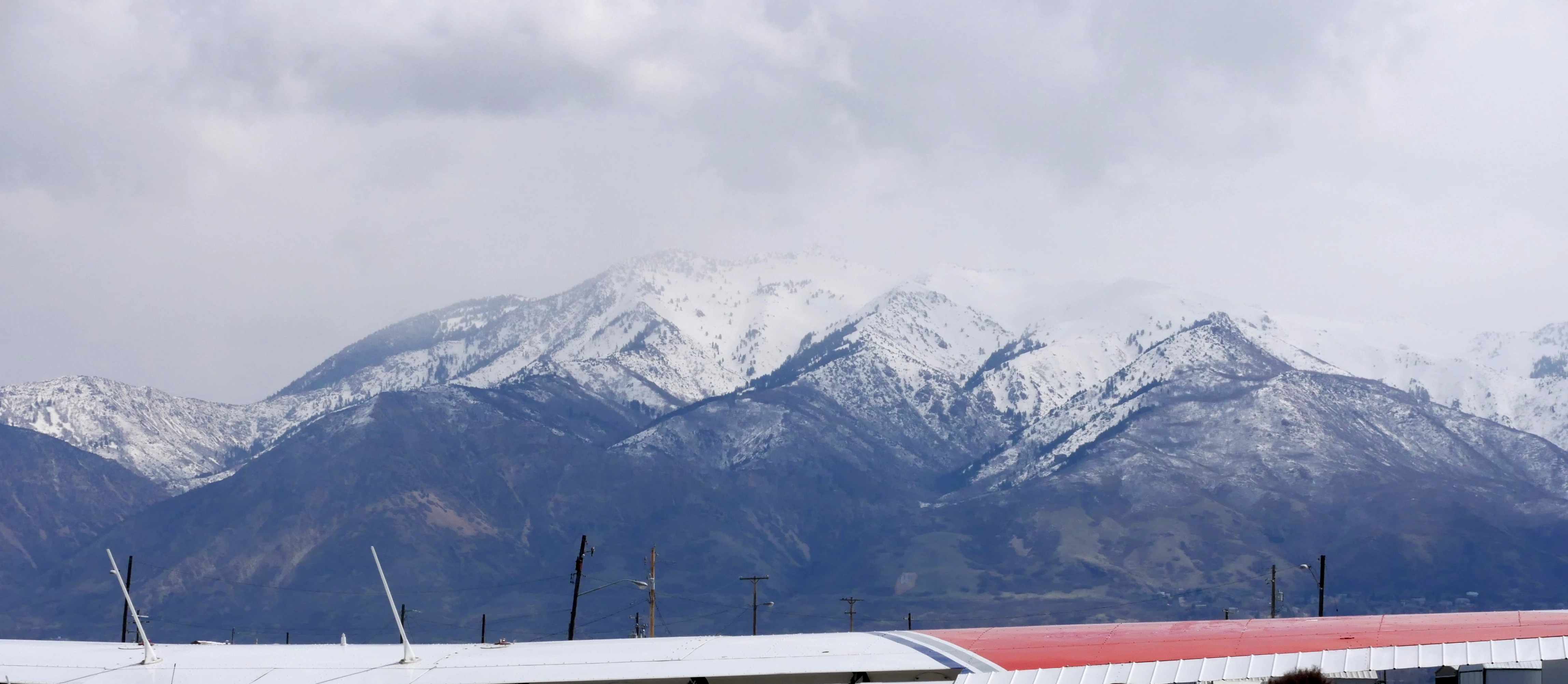  Blitz Training Programs